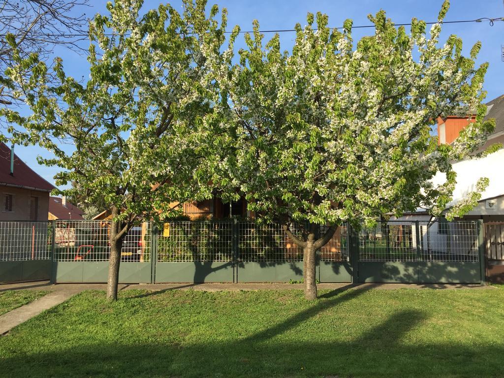 Eszter Vendeghaz Hotel Berekfürdő Buitenkant foto